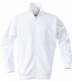 Bluza ze stójką P 2262035 Javelin  - javelin_white_100_P White