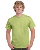 Koszulka Ultra Cotton Adult Gildan 2000 - Gildan_2000_40 Pistachio